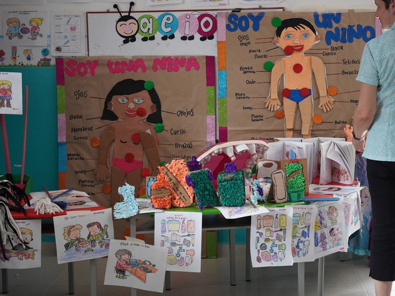Diversidad Funcional