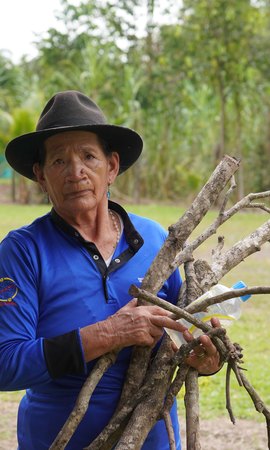 Impacto del programa